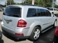 Iridium Silver Metallic - GL 450 Photo No. 3
