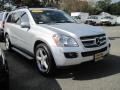 Iridium Silver Metallic - GL 450 Photo No. 4