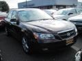 Dark Cinnamon - Sonata GLS V6 Photo No. 4