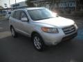 2007 Bright Silver Hyundai Santa Fe Limited 4WD  photo #1