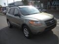 2009 Natural Khaki Hyundai Santa Fe GLS 4WD  photo #1