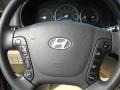 Natural Khaki - Santa Fe GLS 4WD Photo No. 19