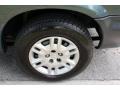Magnesium Green Pearl - Caravan SE Photo No. 26