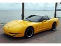 2002 Millenium Yellow Chevrolet Corvette Coupe  photo #1