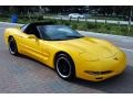 2002 Millenium Yellow Chevrolet Corvette Coupe  photo #12