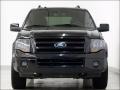 Tuxedo Black 2010 Ford Expedition Limited 4x4 Exterior