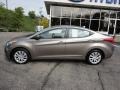 Desert Bronze - Elantra GLS Photo No. 2
