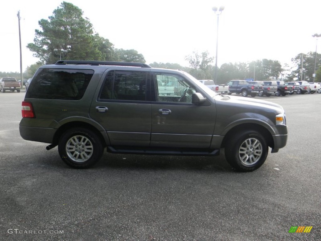 2011 Expedition XLT - Sterling Grey Metallic / Stone photo #4