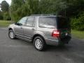 2011 Sterling Grey Metallic Ford Expedition XLT  photo #11