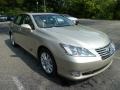 Satin Cashmere Metallic - ES 350 Photo No. 6