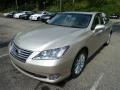 Satin Cashmere Metallic - ES 350 Photo No. 8