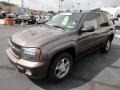 Desert Brown Metallic - TrailBlazer LT 4x4 Photo No. 3