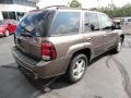 Desert Brown Metallic - TrailBlazer LT 4x4 Photo No. 7