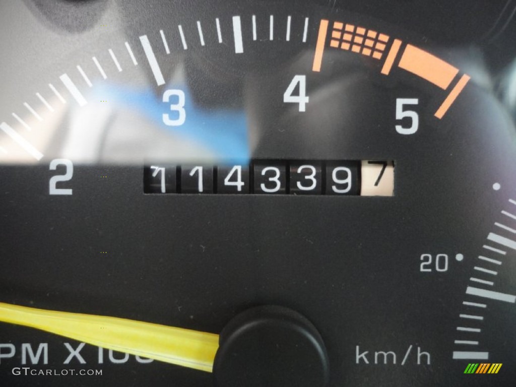 1994 C/K K1500 Regular Cab 4x4 - White / Blue photo #15