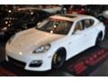 Carrara White - Panamera Turbo Photo No. 53