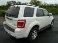 2009 White Suede Ford Escape Limited V6 4WD  photo #2