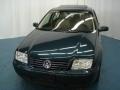 Baltic Green - Jetta GLS TDI Sedan Photo No. 2
