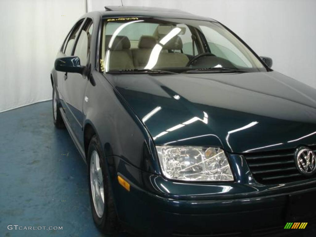 2002 Jetta GLS TDI Sedan - Baltic Green / Beige photo #7