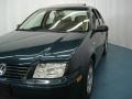 2002 Baltic Green Volkswagen Jetta GLS TDI Sedan  photo #8