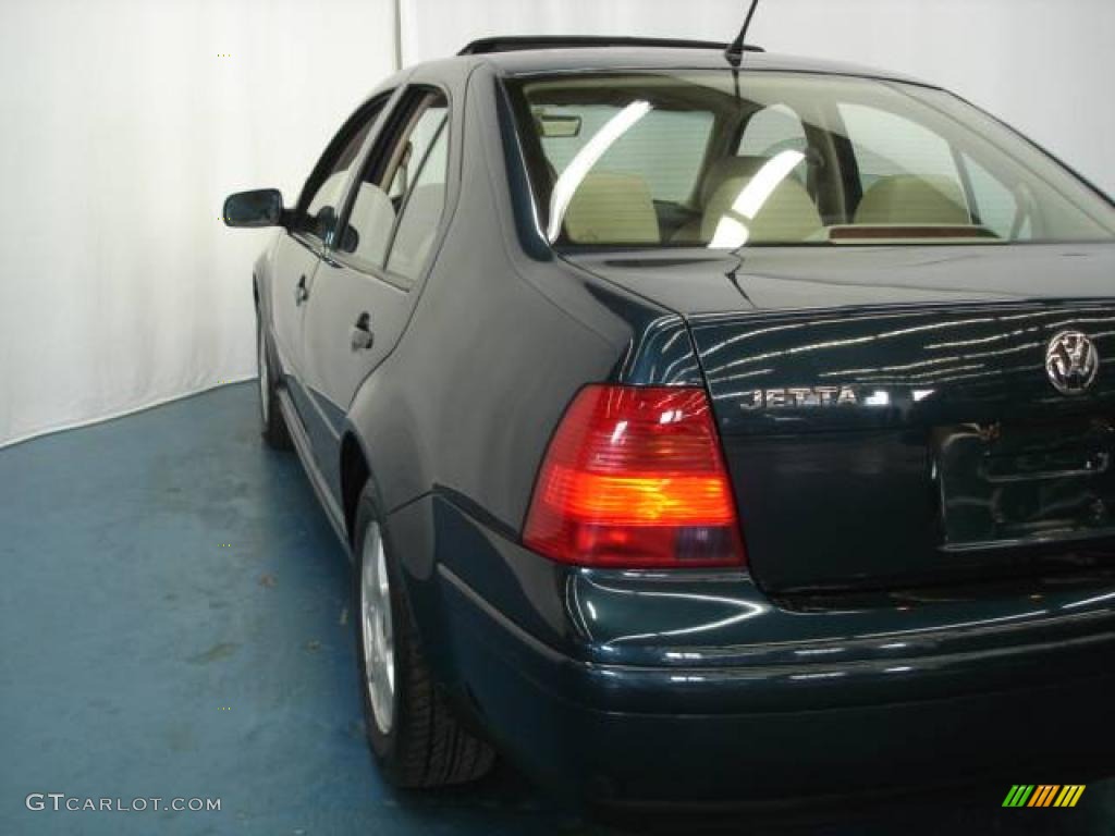 2002 Jetta GLS TDI Sedan - Baltic Green / Beige photo #37