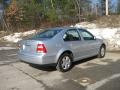 Reflex Silver Metallic - Jetta GLS Sedan Photo No. 8