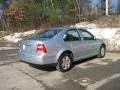 2004 Reflex Silver Metallic Volkswagen Jetta GLS Sedan  photo #8