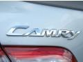 Titanium Metallic - Camry LE Photo No. 9