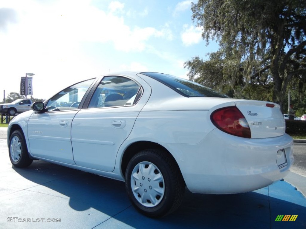 2000 Neon ES - Bright White / Agate photo #3
