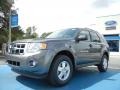 Sterling Gray Metallic - Escape XLT Photo No. 1