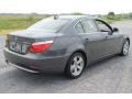 2008 Platinum Grey Metallic BMW 5 Series 528xi Sedan  photo #4