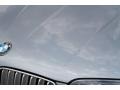 Silver Grey Metallic - X3 3.0si Photo No. 23