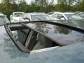 Magnesium Pearl - 300 C HEMI Photo No. 9
