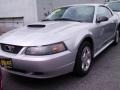2003 Silver Metallic Ford Mustang V6 Coupe  photo #1