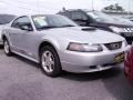 2003 Silver Metallic Ford Mustang V6 Coupe  photo #2