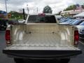 White Gold - Ram 2500 HD Big Horn Crew Cab 4x4 Photo No. 6