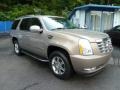 Radiant Bronze - Escalade AWD Photo No. 7