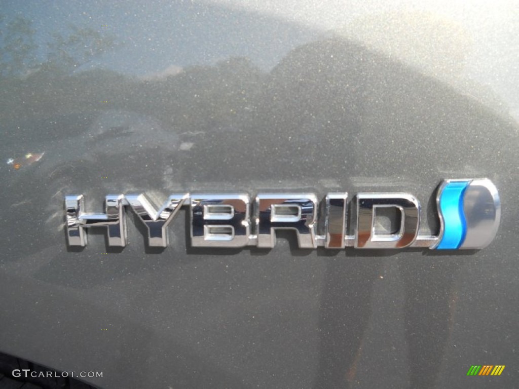 2009 Highlander Hybrid Limited 4WD - Cypress Green Pearl / Sand Beige photo #20