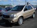 2006 Cashmere Metallic Buick Rendezvous CX  photo #1