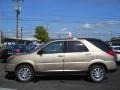 2006 Cashmere Metallic Buick Rendezvous CX  photo #11