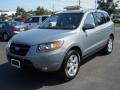 2008 Steel Gray Hyundai Santa Fe SE  photo #1