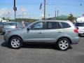 2008 Steel Gray Hyundai Santa Fe SE  photo #13