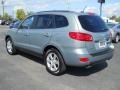 2008 Steel Gray Hyundai Santa Fe SE  photo #14