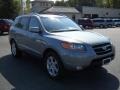 2008 Steel Gray Hyundai Santa Fe SE  photo #18