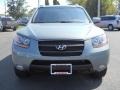 2008 Steel Gray Hyundai Santa Fe SE  photo #19