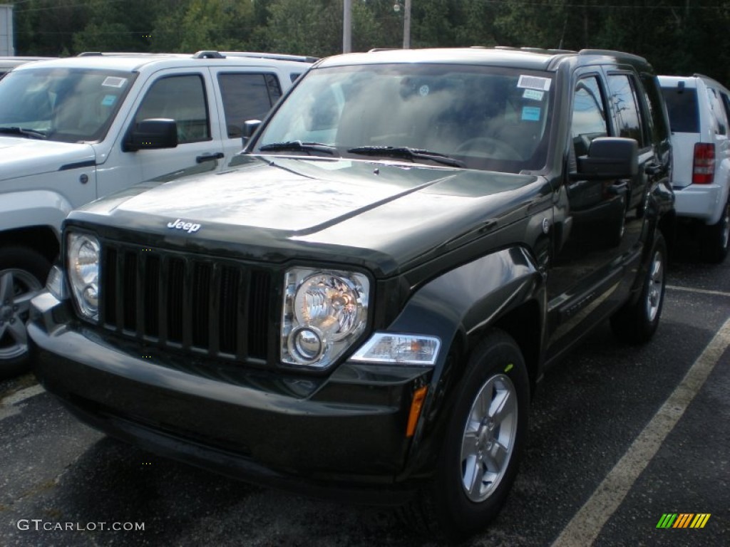 2011 Liberty Sport 4x4 - Natural Green Metallic / Pastel Pebble Beige photo #1