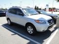 Bright Silver - Santa Fe GLS Photo No. 38