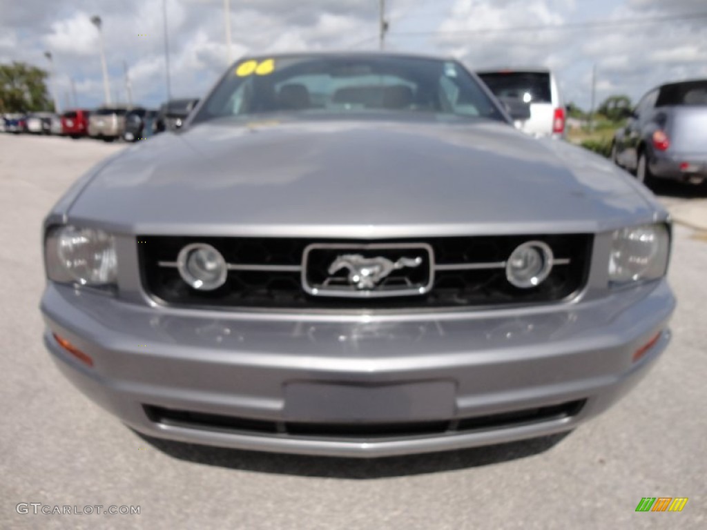 2006 Mustang V6 Premium Coupe - Tungsten Grey Metallic / Black photo #14