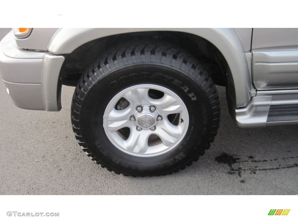 2002 4Runner Limited 4x4 - Thunder Cloud Metallic / Oak photo #10