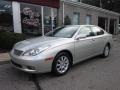 Millennium Silver Metallic - ES 330 Photo No. 1