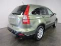 2007 Green Tea Metallic Honda CR-V EX 4WD  photo #9